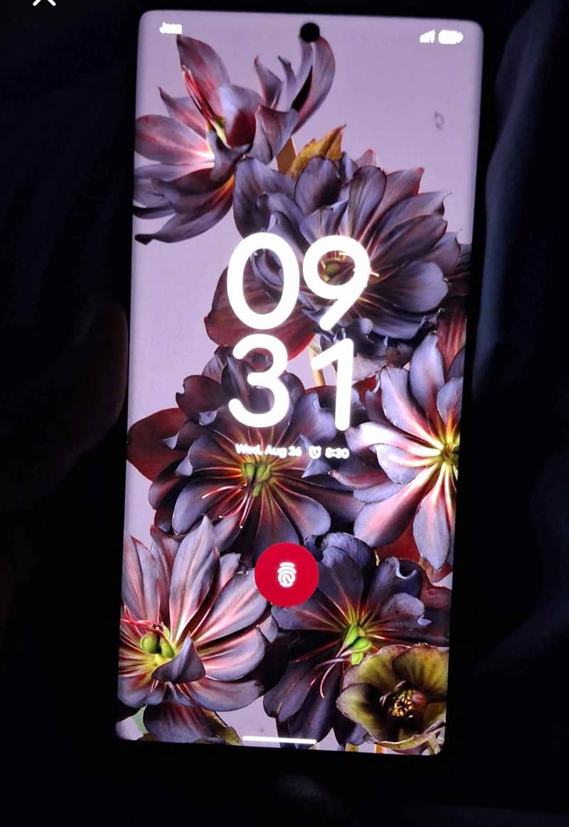 Google Pixel 6 Pro 6