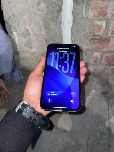 Apple iPhone 12 Pro Max