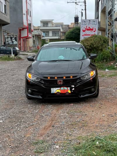 black beauty for sale