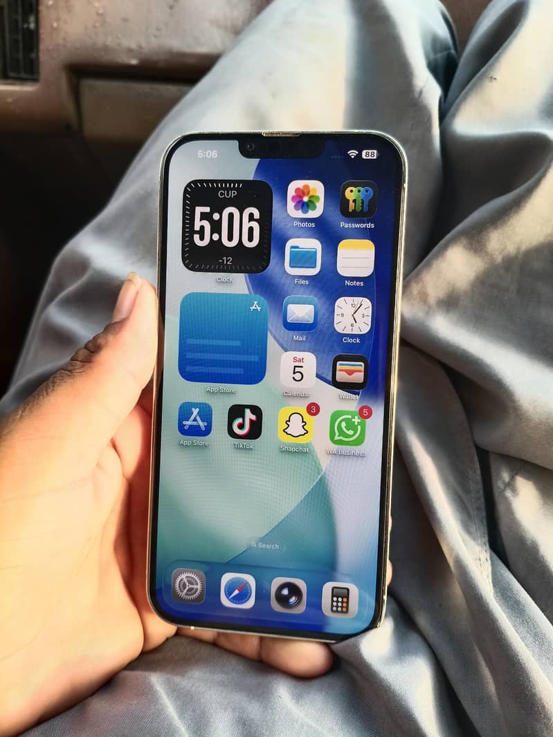 Apple iPhone 13 Pro Max 3