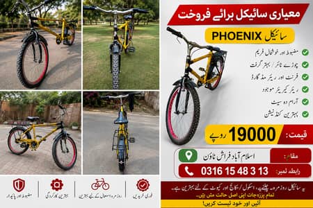 Phoenix cycle for sale