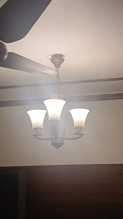 2 pair wall ganging chandlier asking price  ( Rs 30,000 Rs only )