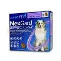 Nexguard , Drontal Dog, Drontal Cat , All Dewormers Available — photo 2