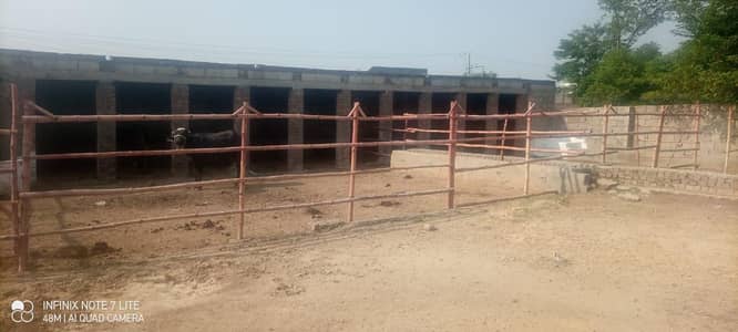 4 Kanal Cattle & Goat Farm for Rent @ G-16/1 Islamabad