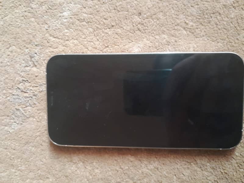 Apple iPhone 12 Pro Max 0