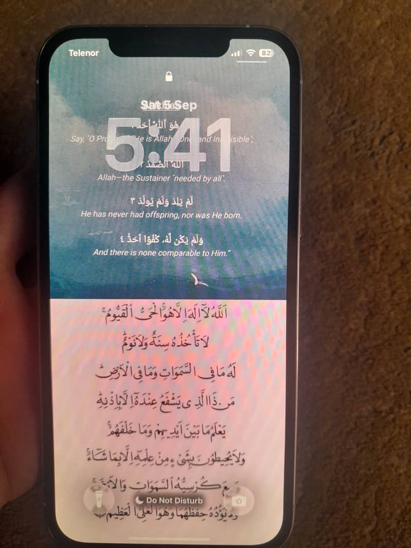 Apple iPhone 12 Pro Max 1