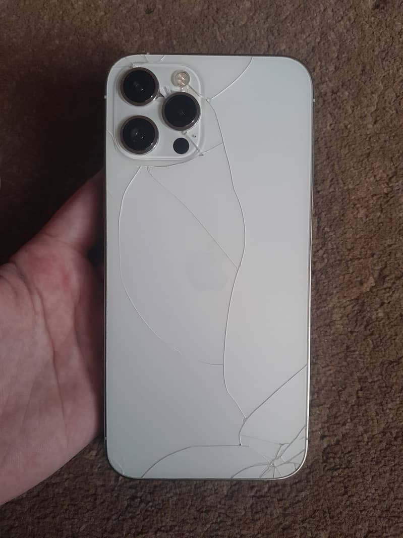 Apple iPhone 12 Pro Max 2
