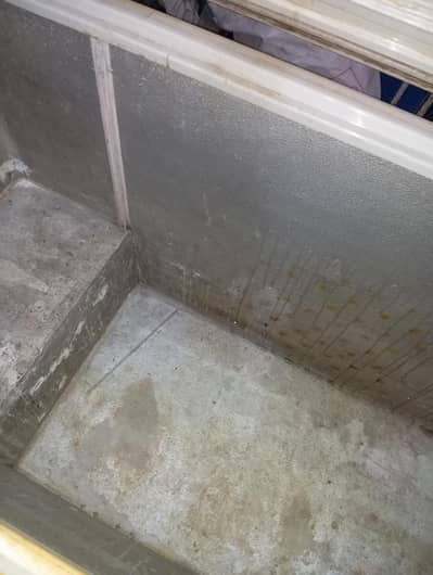 waves deep freezer Jumbofor sale