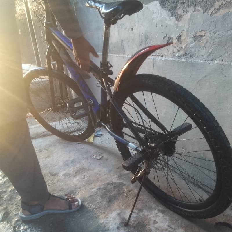 Cycle 4