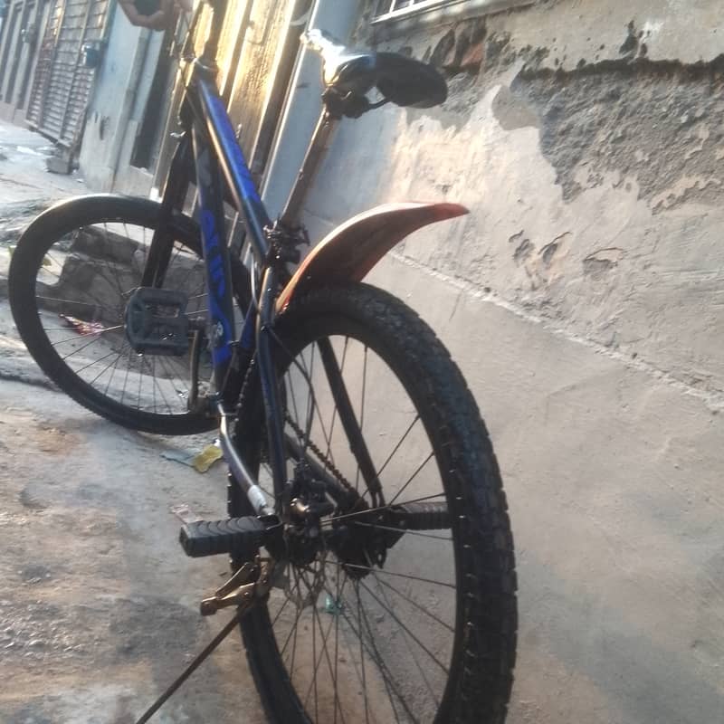 Cycle 5