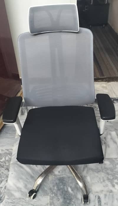 Ergonomic Office/Computer Chair with Headrest