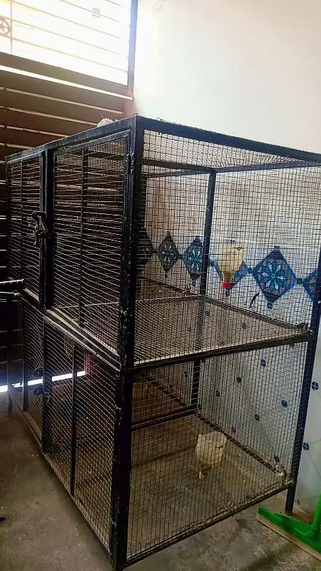 bird cages — photo 2