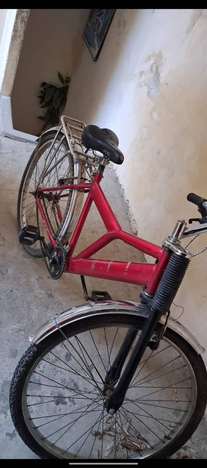 cycle 4