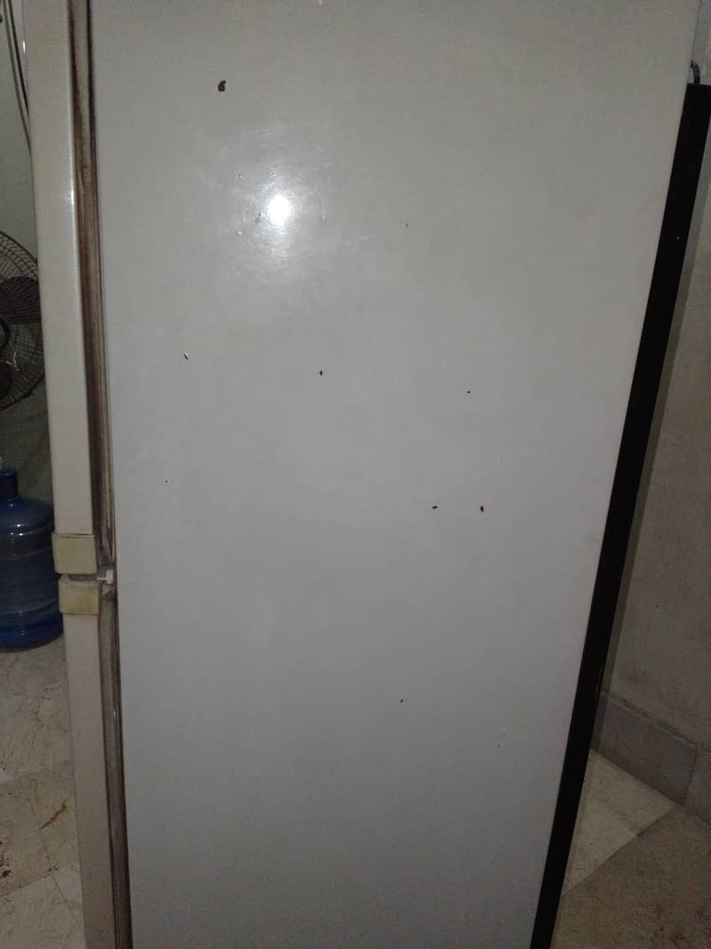Fridge 1