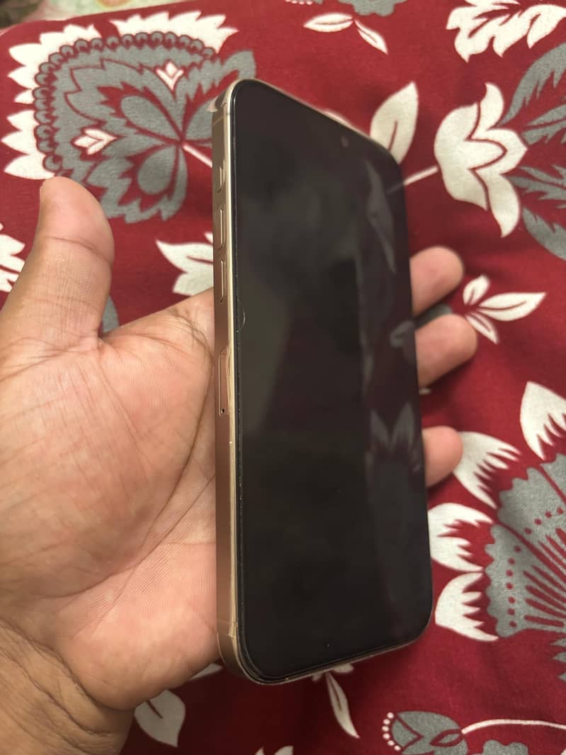 Apple iPhone 16 Pro Max 1