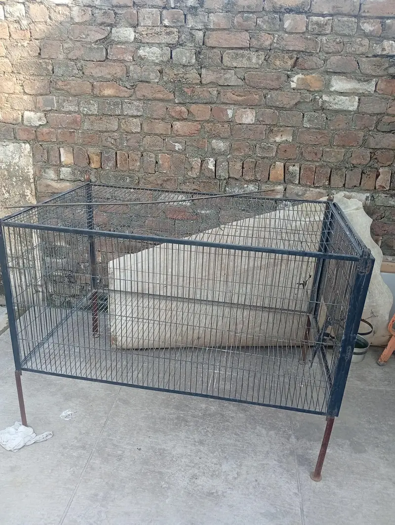 cage for sale parrot cage