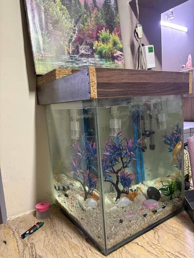 fish aquarium + 3 golden fishes + all accessories + wooden hood