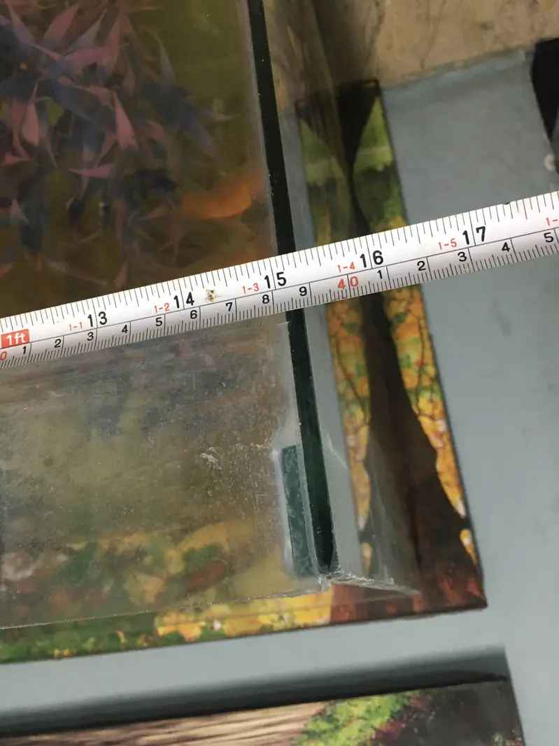 fish aquarium + 3 golden fishes + all accessories + wooden hood — photo 4