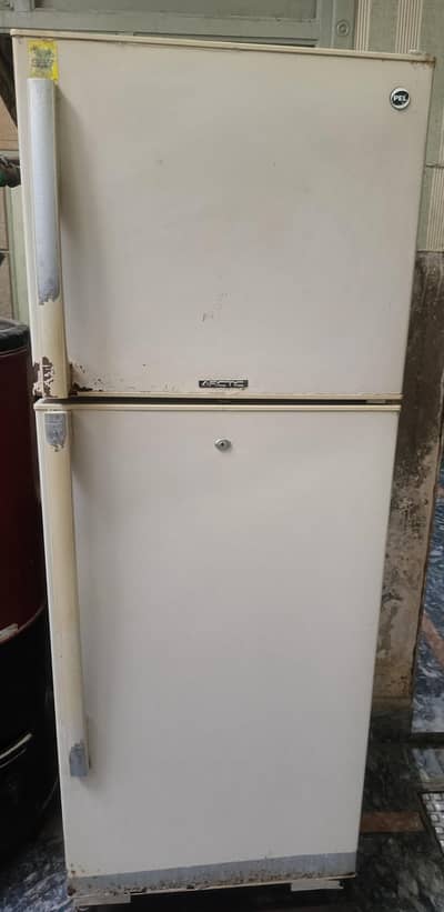 pel arctic fridge