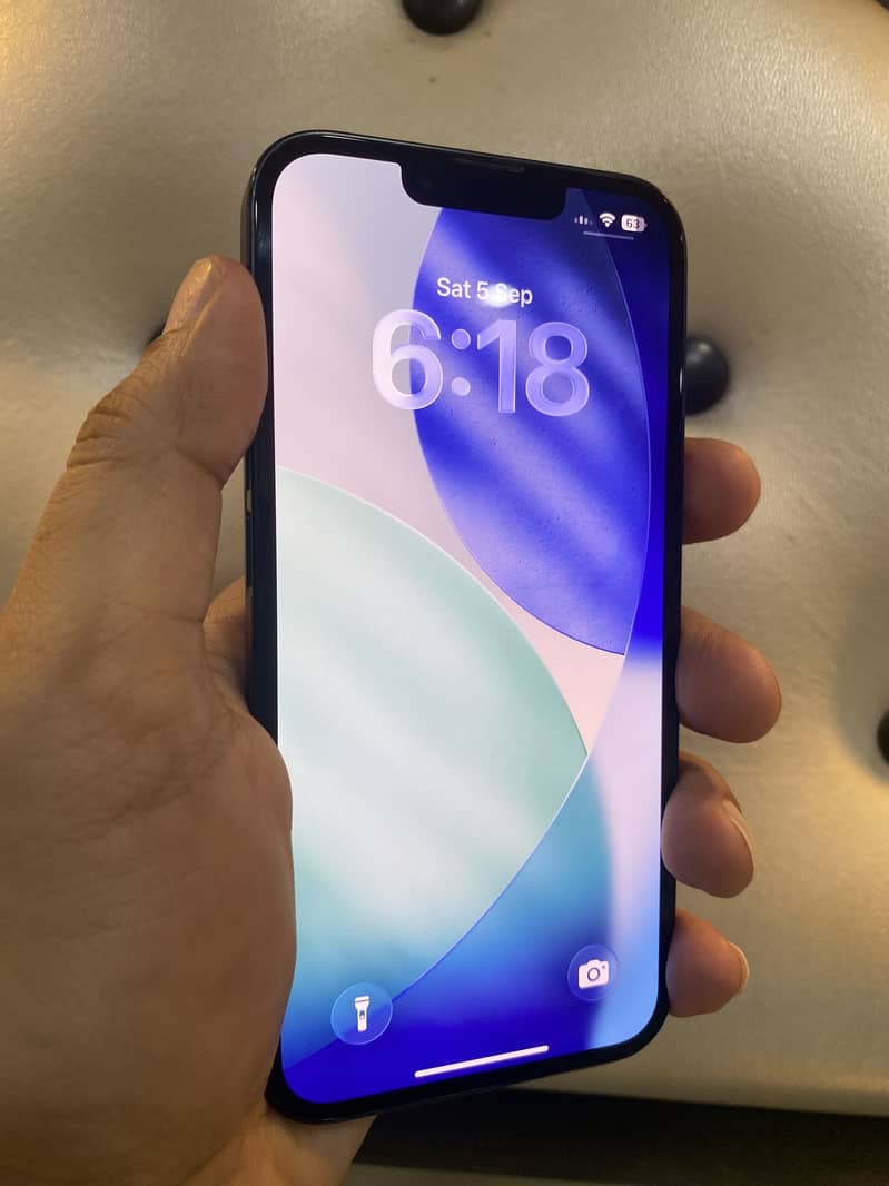 Apple iPhone 13 0