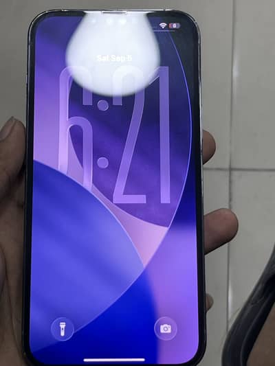 Apple iPhone 13 Pro Max