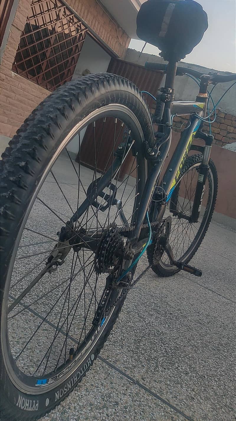 FORZA CYCLE 1