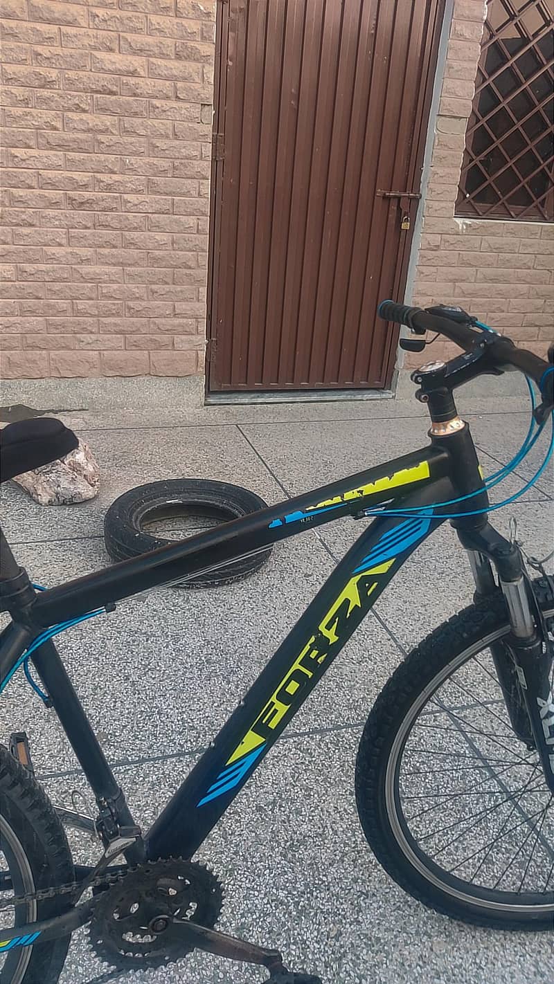 FORZA CYCLE 5