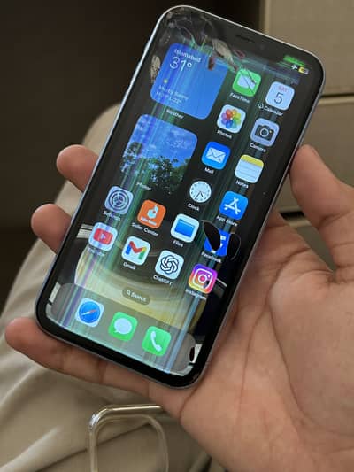 Apple iPhone X