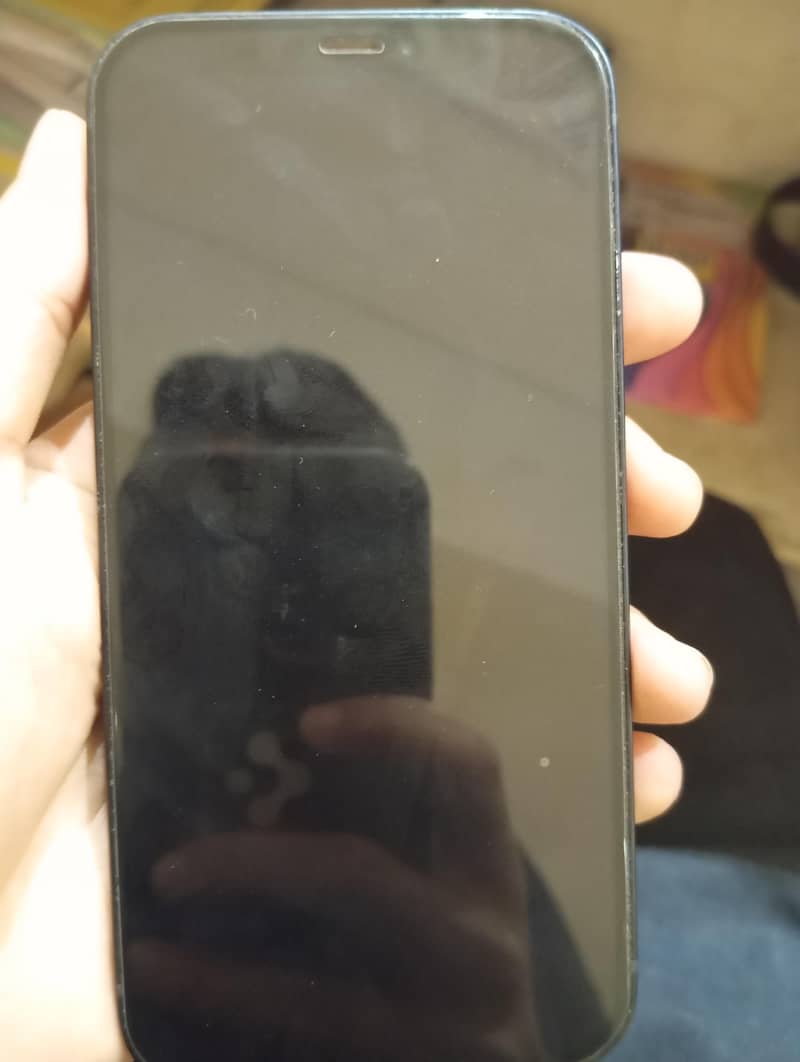 iPhone 12 1