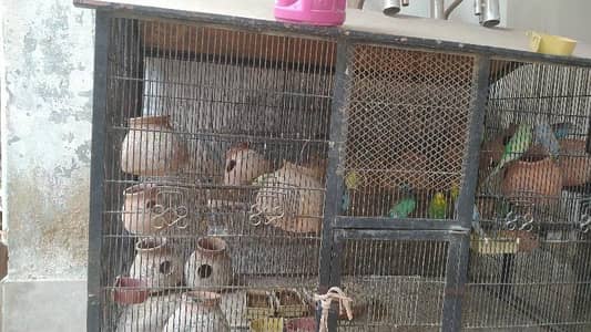 Heavy Angle Iron Bird Cage for Sale