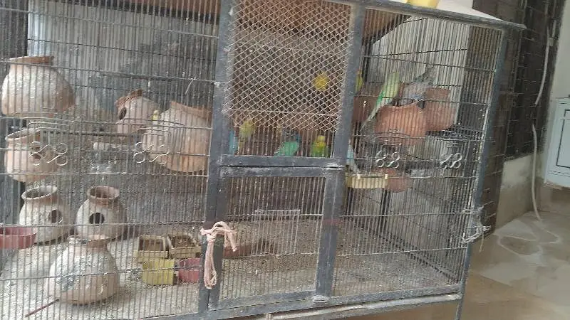 Heavy Angle Iron Bird Cage for Sale — photo 2