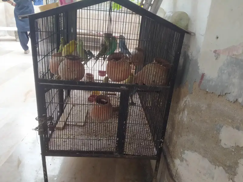 Heavy Angle Iron Bird Cage for Sale — photo 3