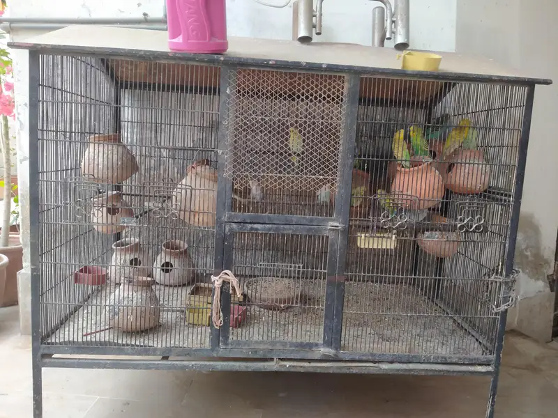 Heavy Angle Iron Bird Cage for Sale — photo 4