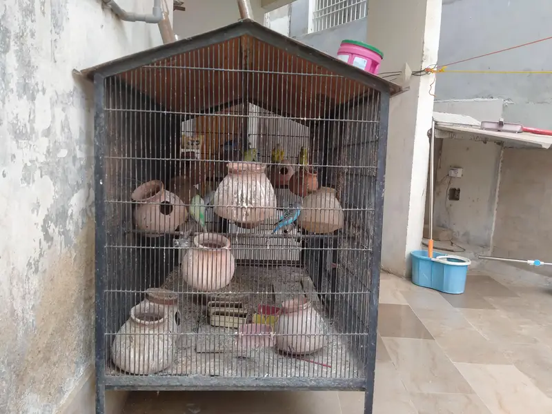 Heavy Angle Iron Bird Cage for Sale — photo 5