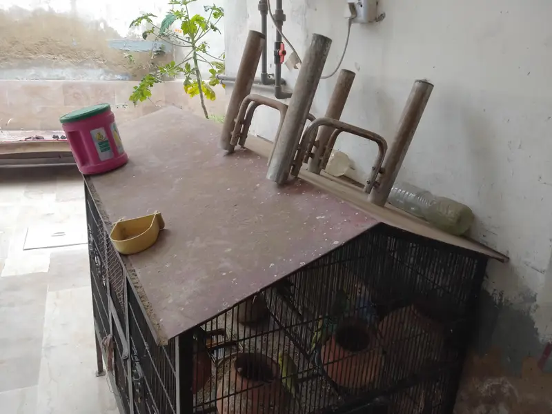 Heavy Angle Iron Bird Cage for Sale — photo 6