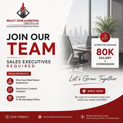Sales Executive