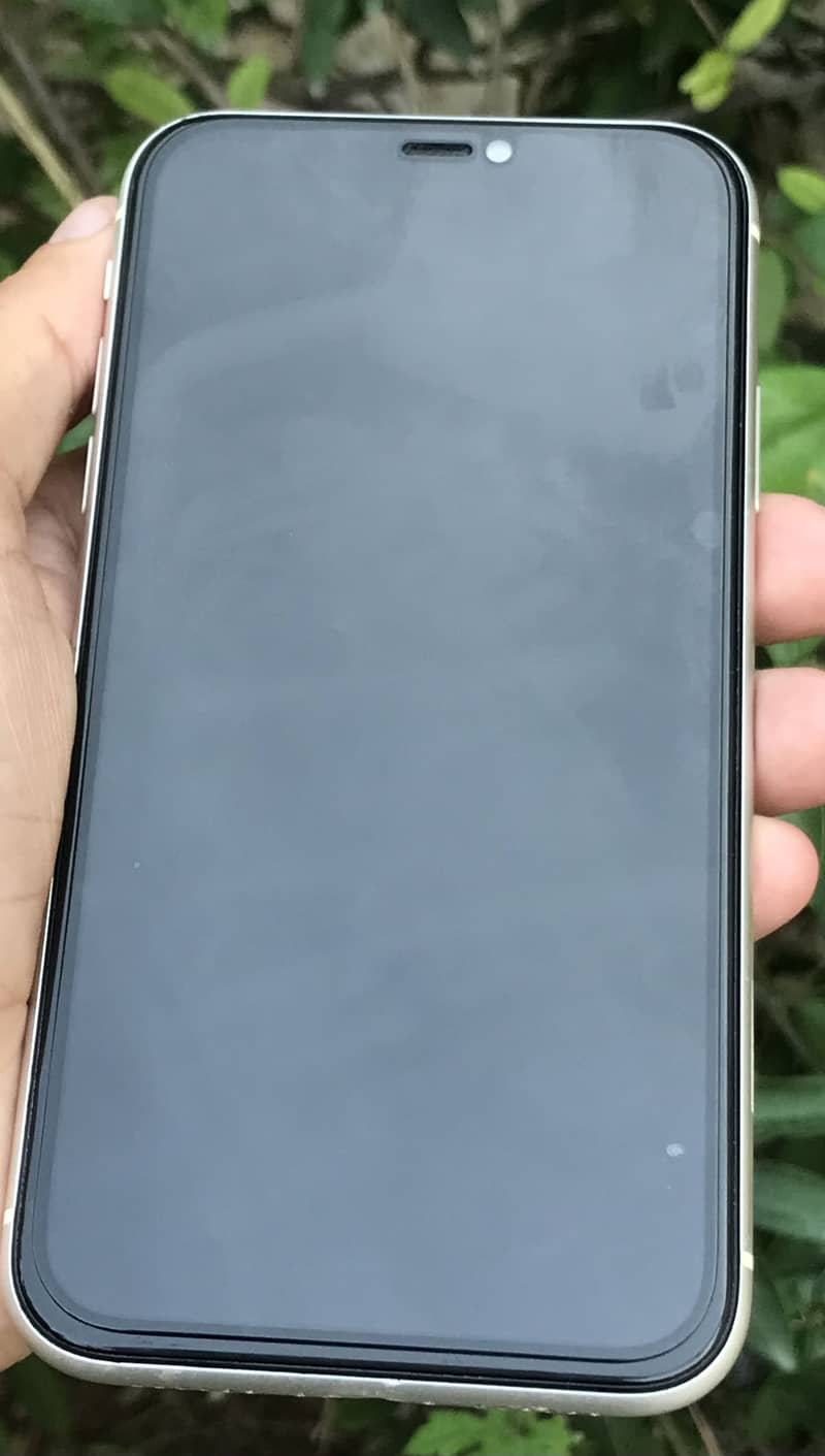 Apple iPhone 11 0