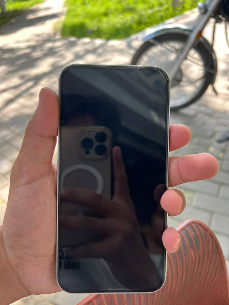 Apple iPhone 13 Pro Max 1