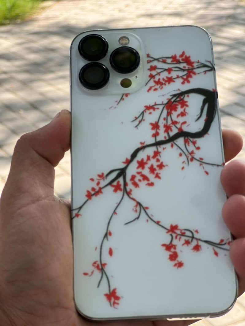 Apple iPhone 13 Pro Max 3