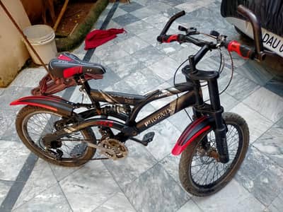 bicycle Phoenix