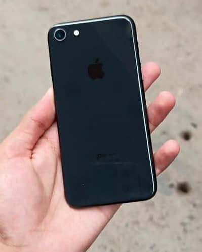 Apple iPhone 8 64GB pta approved offlicel / 03256570048
