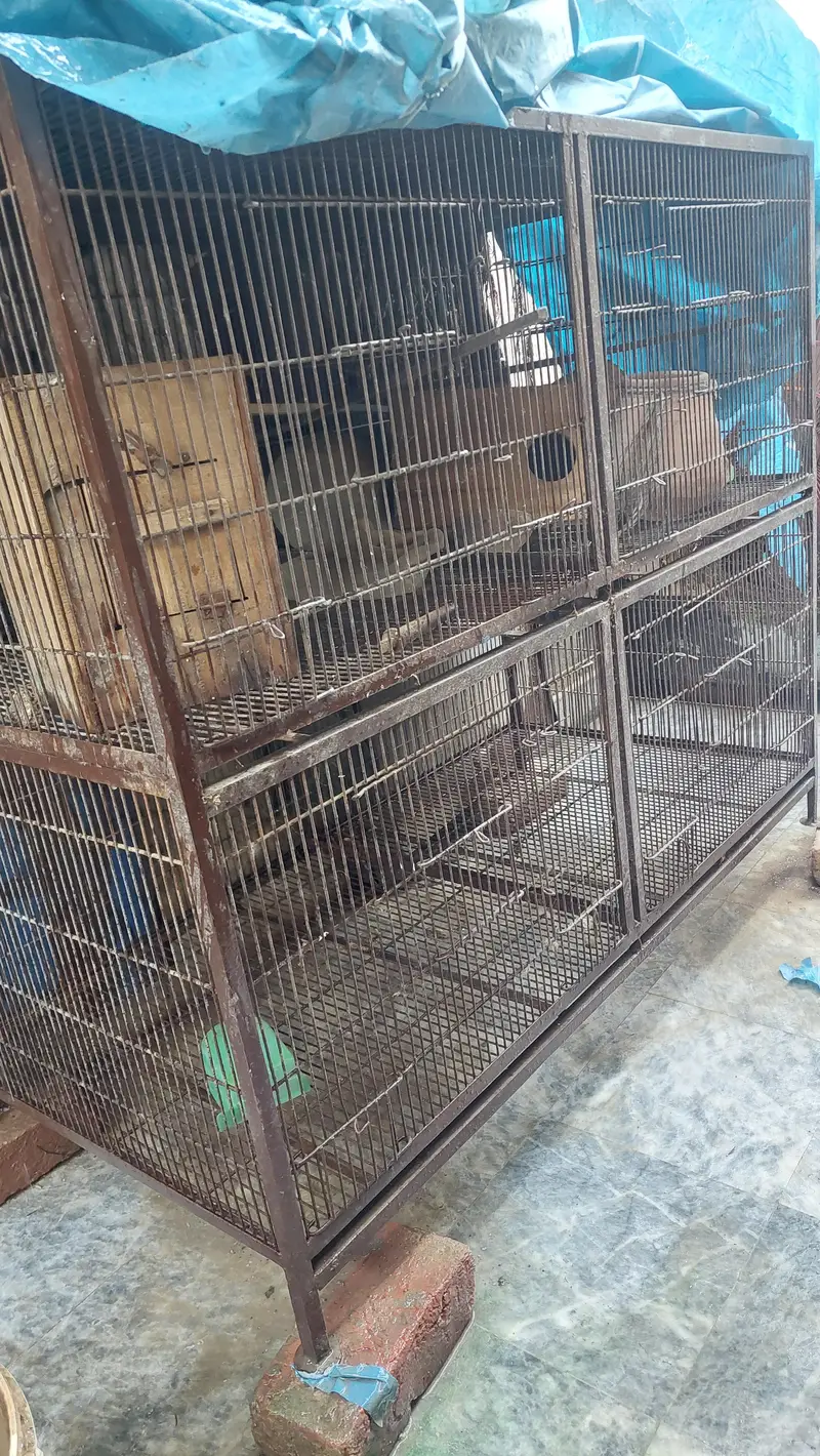 birds cage — photo 4