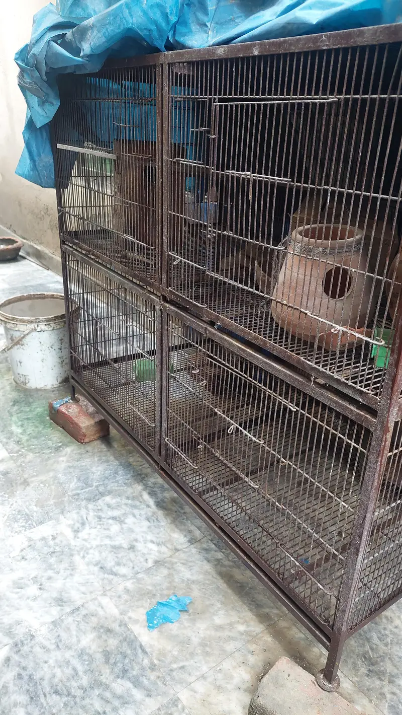 birds cage — photo 5