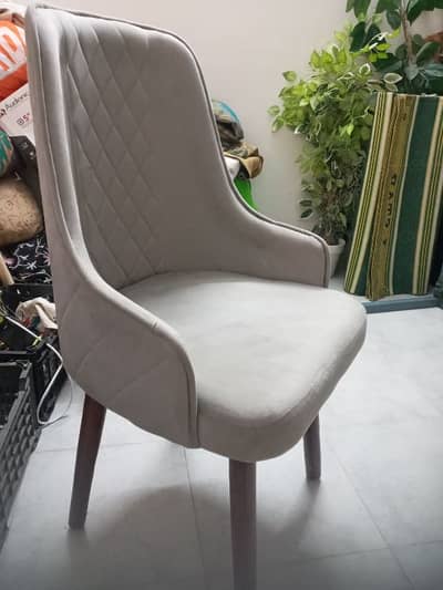 Dining Chairs ( Qty - 2)