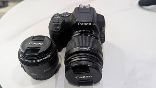 Canon EOS 250D + Kit Lens + Canon 50mm f1.8