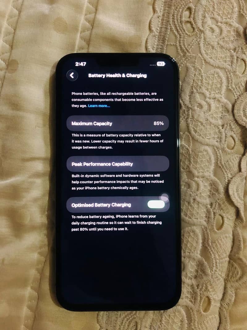 Apple iPhone 13 Pro Max 1