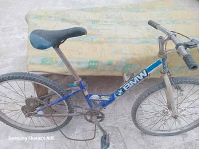 China cycle
