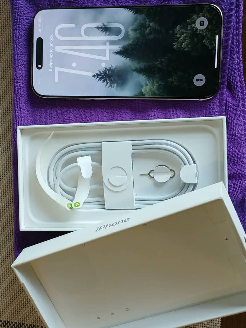 Apple iPhone 16 Pro Max 1