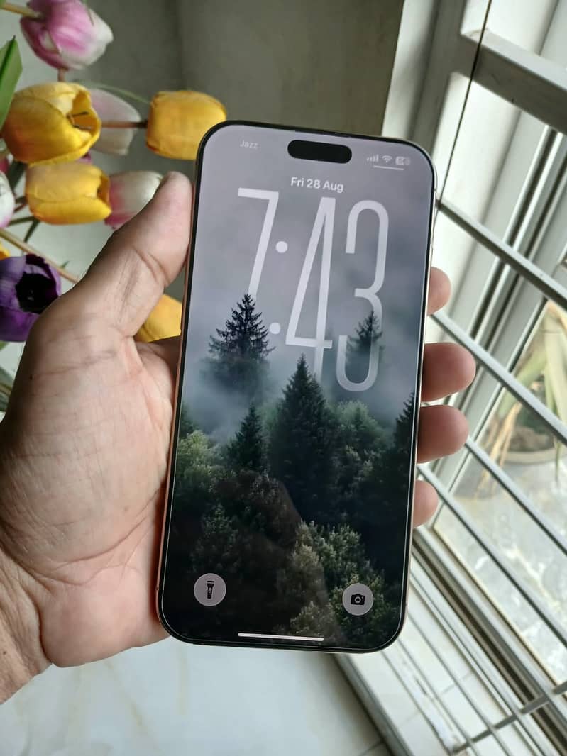 Apple iPhone 16 Pro Max 3