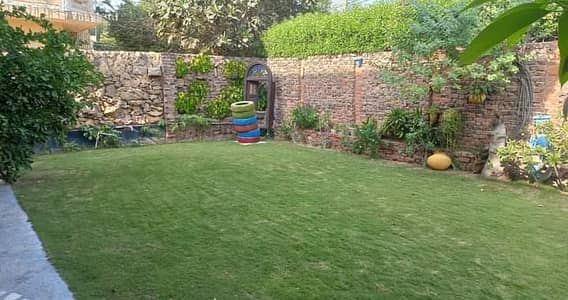 Chance Deal : 600 Yards Ground +1 Bungalow In Prime Location Of Shahrah e Faisal At Low Rent